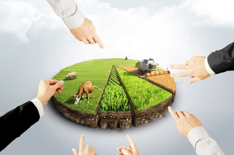 Arsa Yatırımı Fırsatları