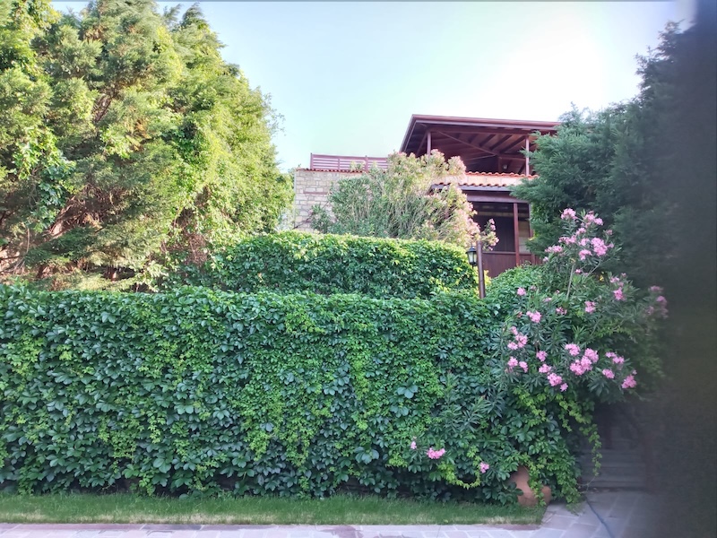 fc265e29-f2ef-4cb8-8ffa-d0a2c9d0a309